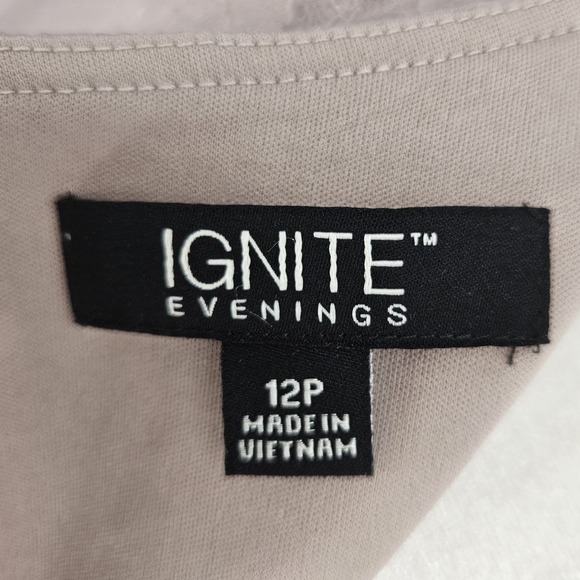 Ignite Evenings Mauve Lace Sequin Capelet Gown Dress 12P Formal Mother Bride - Picture 12 of 13